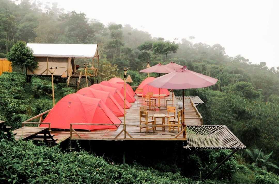 Avien Tea Farm and Coffee: Serunya Camping di Kebun Teh
